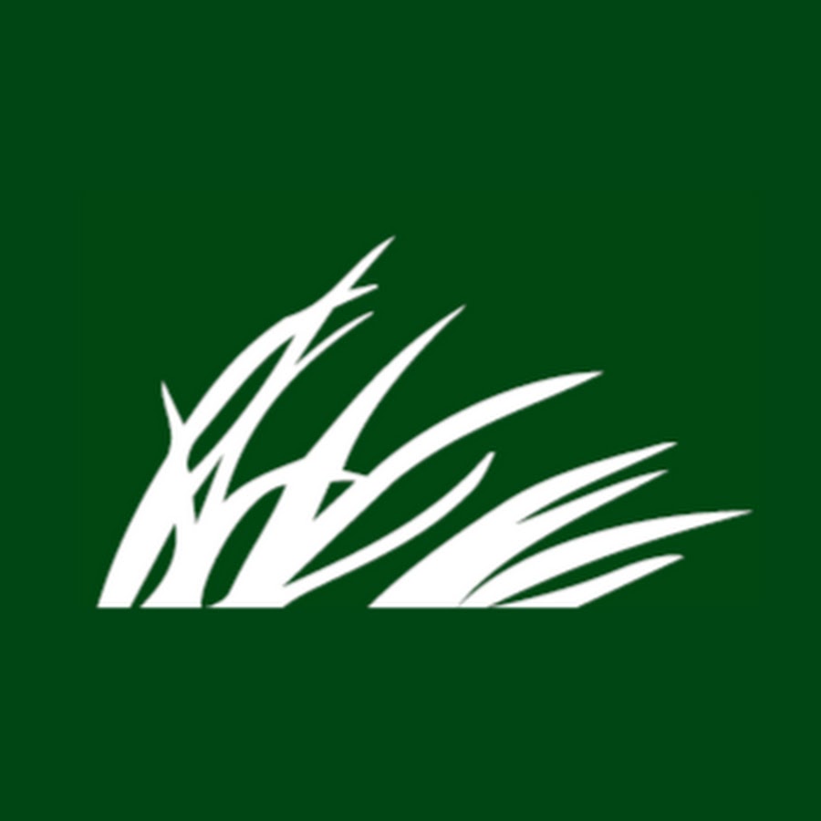 Lincoln Heritage Life Insurance Company YouTube