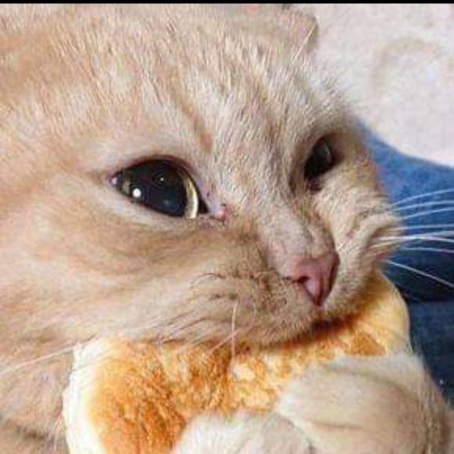 international playboy - YouTube