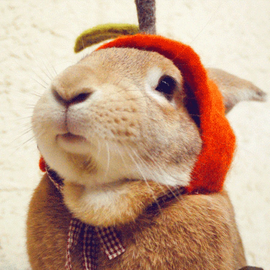 Йцукен Ячсмит - YouTube