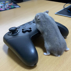 せんせいにゆったろうちゃんねる