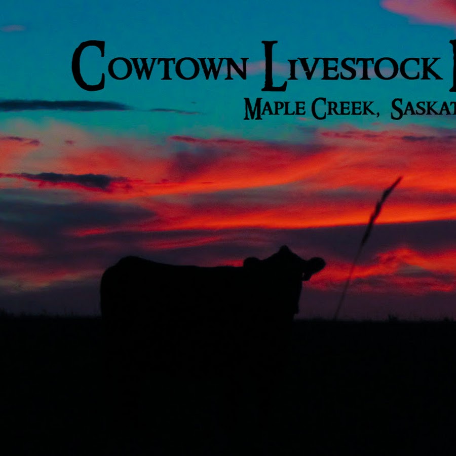 Cowtown Livestock 