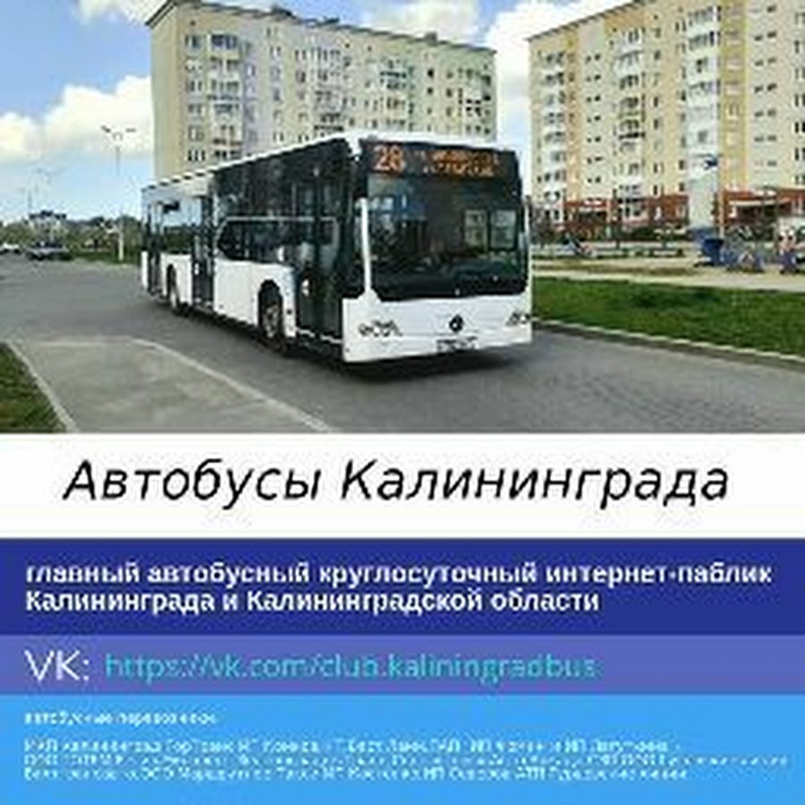 Маршрут 30 автобуса калининград. Автобусы Калининград. Общественный транспорт Калининграда. Маршрутки Калининград. Автобусы Калининград ГОРТРАНС.