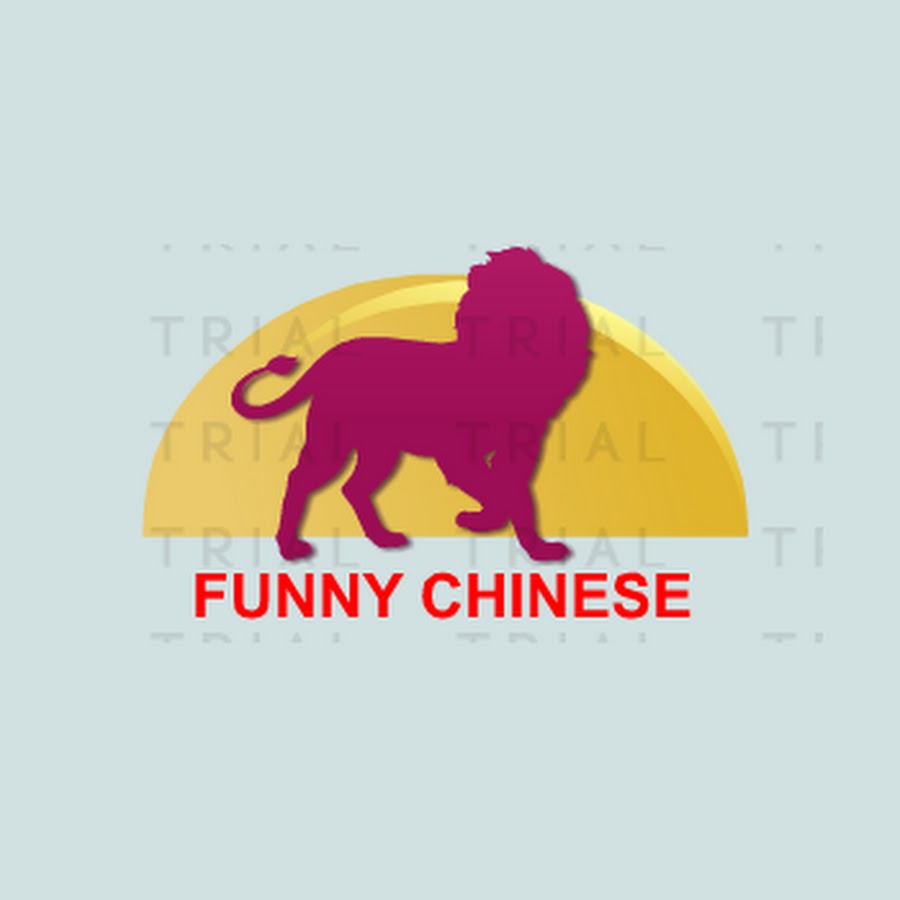 FUNNY CHINESE 
