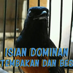 Playtube Pk Ultimate Video Sharing Website