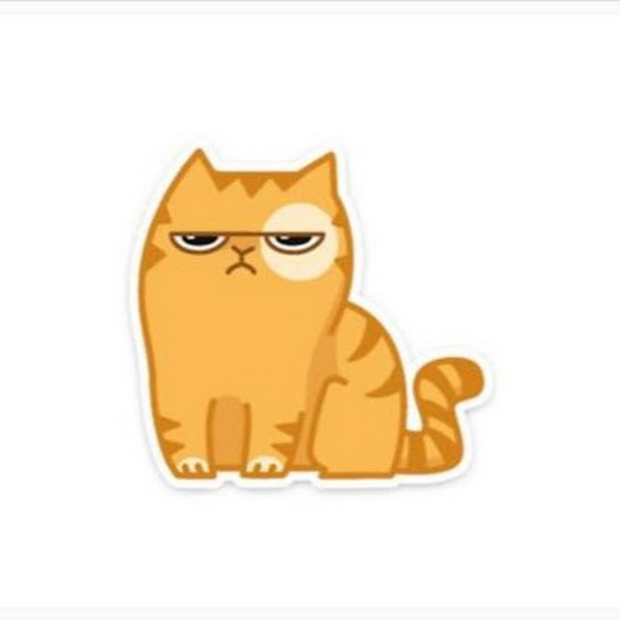 Кот удивляется, что в Тюмени так внезапно наступила зима) автор - Denis Sychev 2