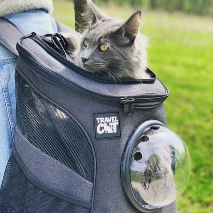 cat front backpack