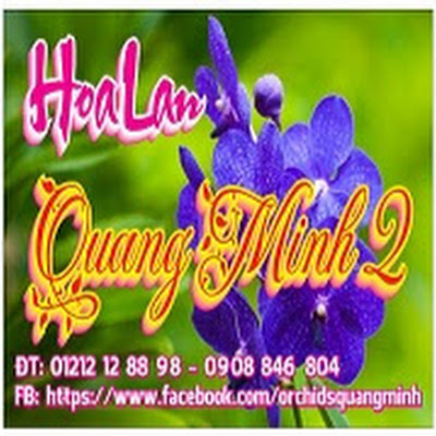 Hoa lan Quang Minh | الجزائر VLIP.LV