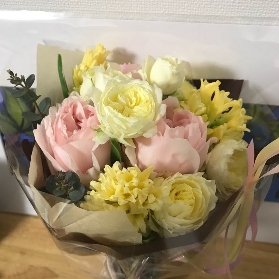 無料ダウンロード ピンカス ミナハン 人気の画像をダウンロードする