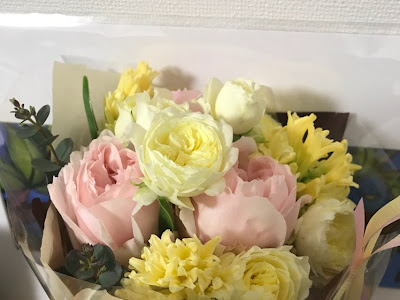 70以上 ピンカス ミナハン ソーシャルワークの機能 153766-ピンカス ミナハン ソーシャルワークの機能