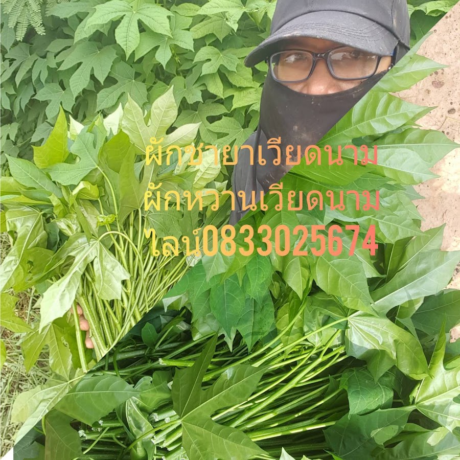 My Image 7