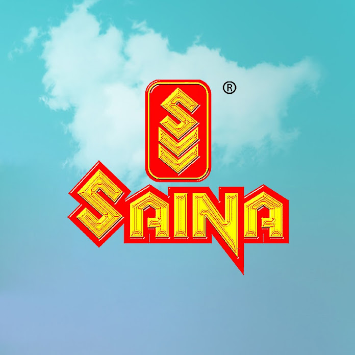 SainaVideoVision Net Worth & Earnings (2026)
