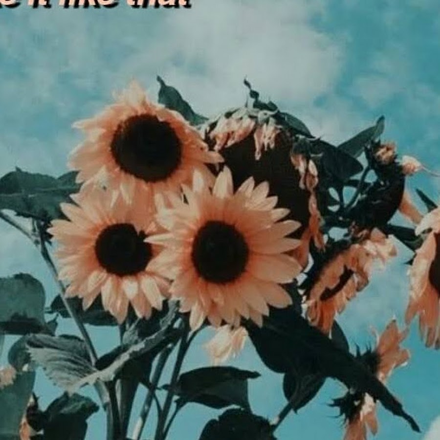 Marie Xoxo - YouTube