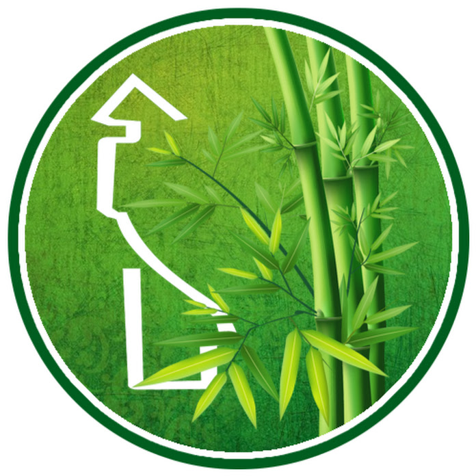 Ca Nhạc Trữ Tình Net Worth & Earnings (2026)