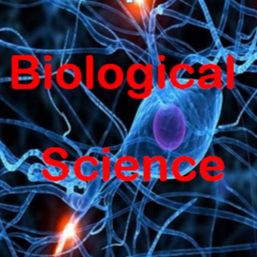 biological science YouTube