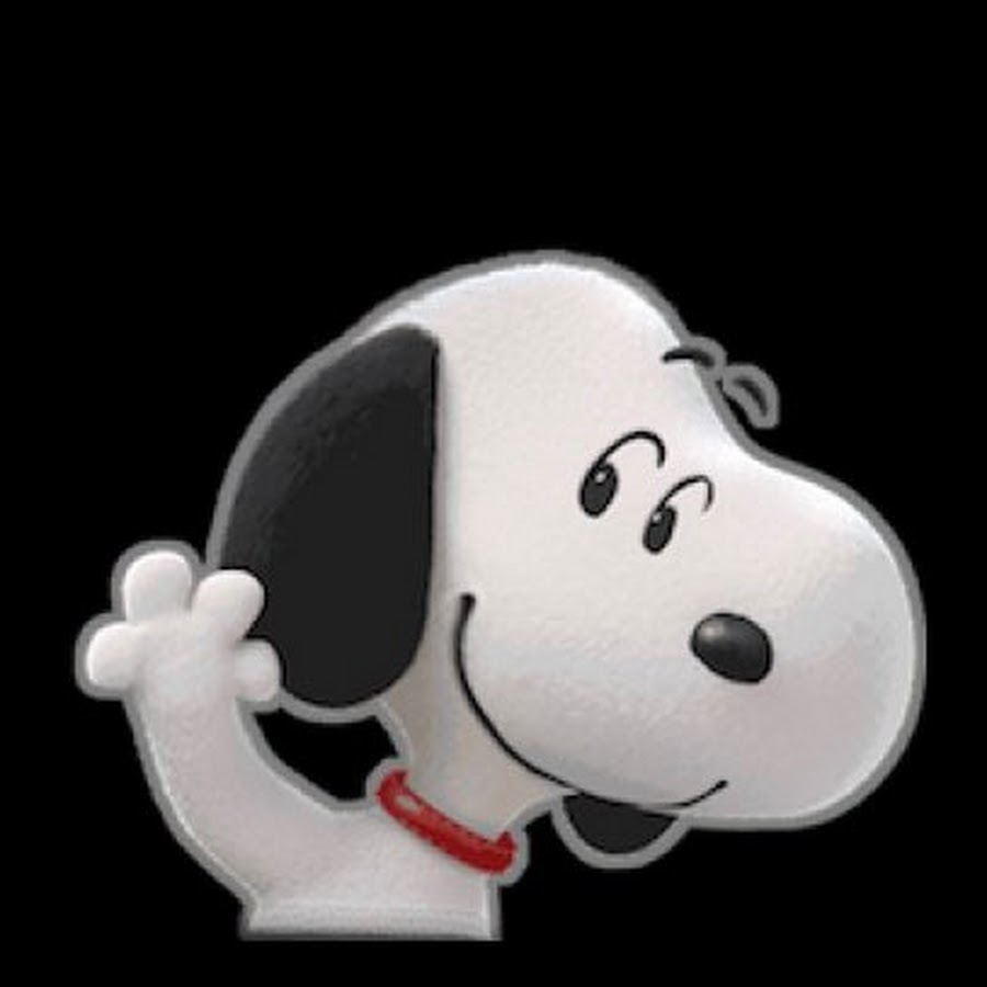 ��������� ����������, �������� �������� ������ ������������