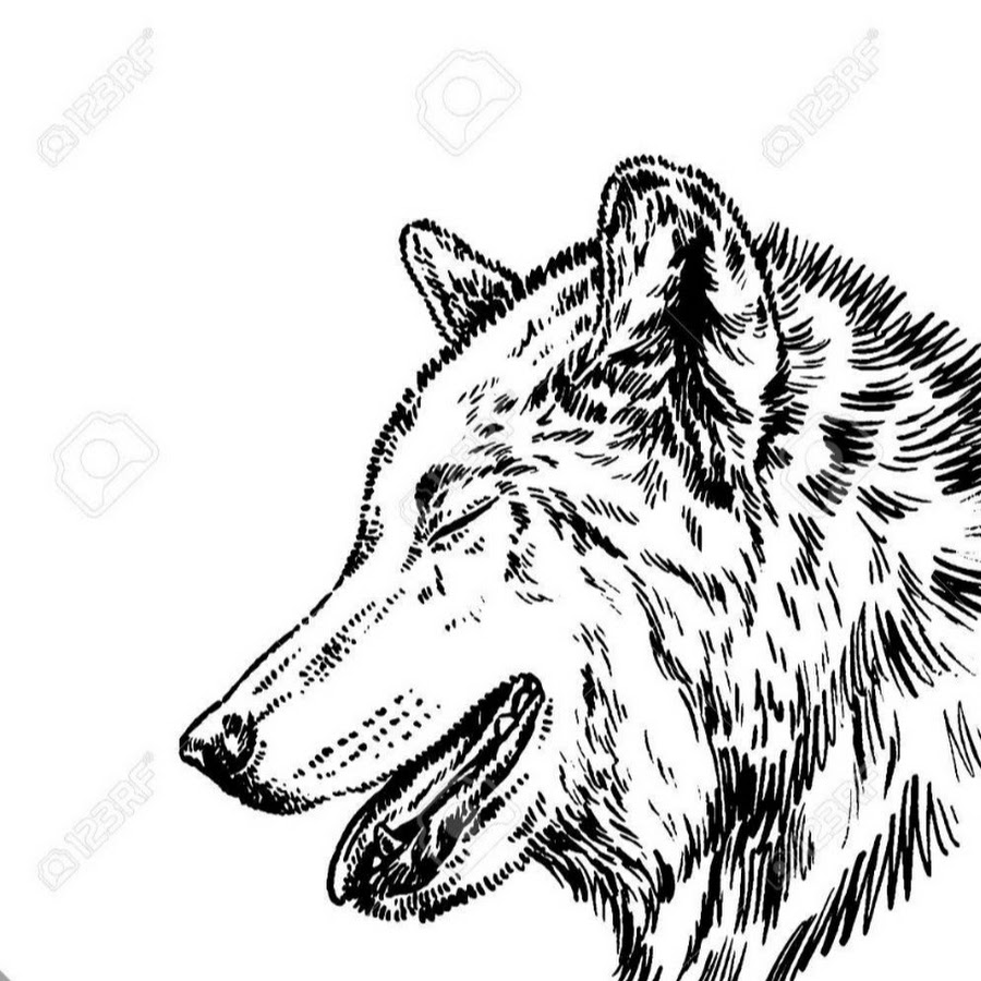 BrightWolf - YouTube