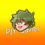 PJY` Gamer Net Worth