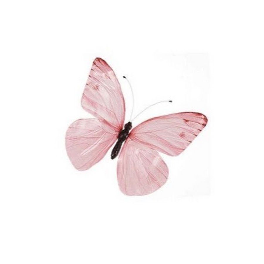 Anime Create ᐛ YouTube