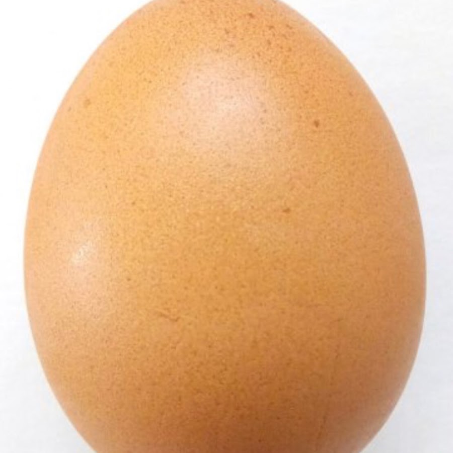 Egg with 500000 Subs YouTube