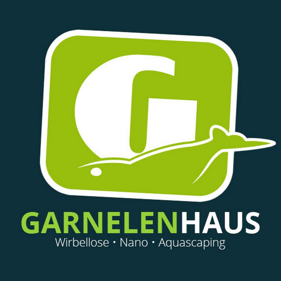 Garnelenhaus Youtube