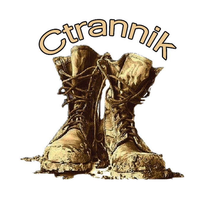 ctrannik Net Worth & Earnings (2026)