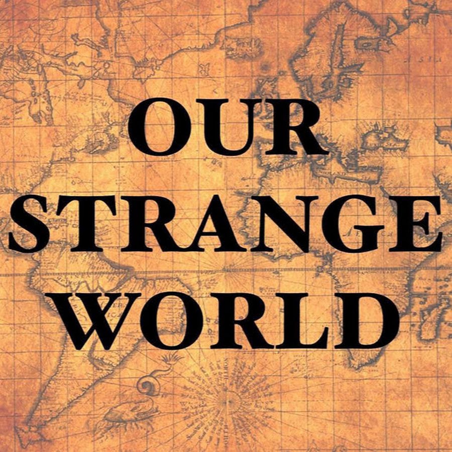 Бизар ворлд. Bryson bill "made in america". Bizarre world угадать флаг. Bizarre world. Bill world.