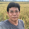 kanit khanikul 