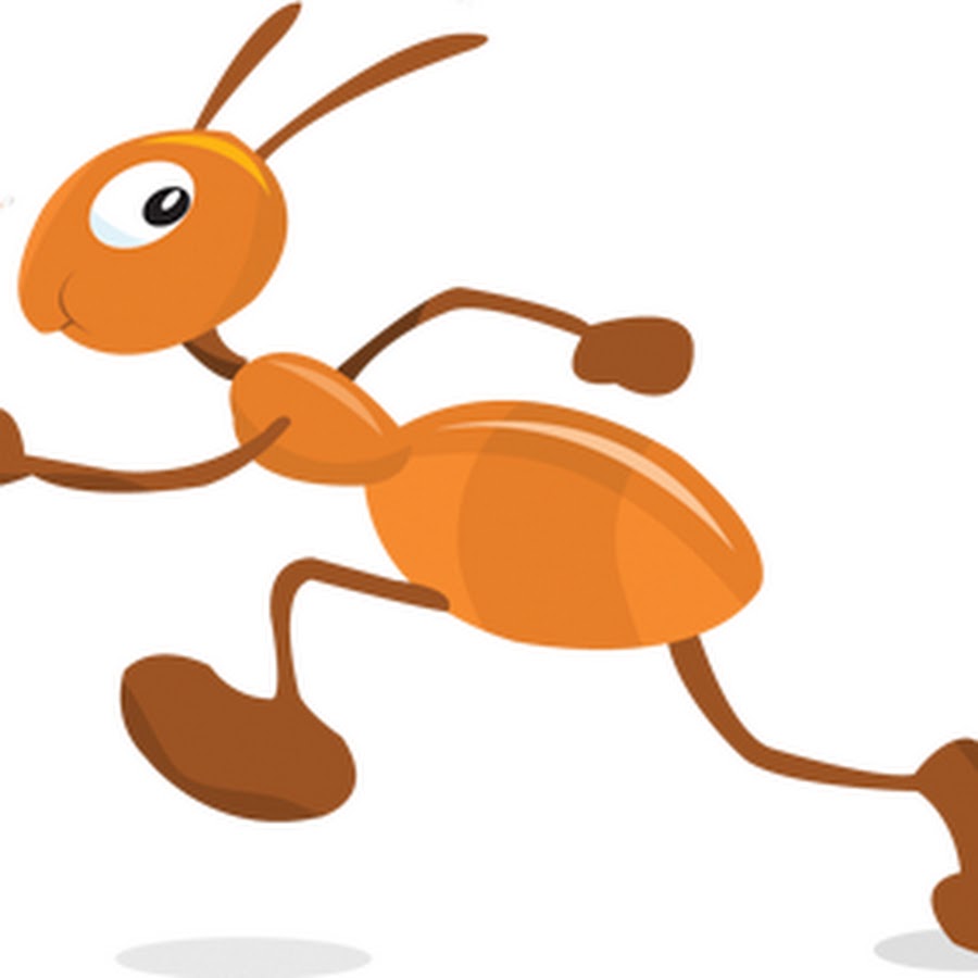 Покажи Картинку Муравья – Telegraph