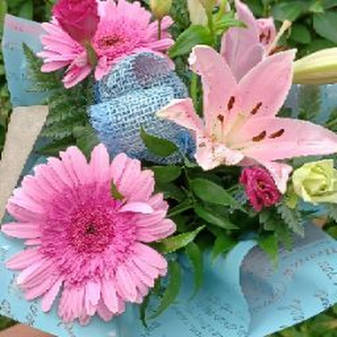 RoyalLife CZ Net Worth & Earnings (2026)