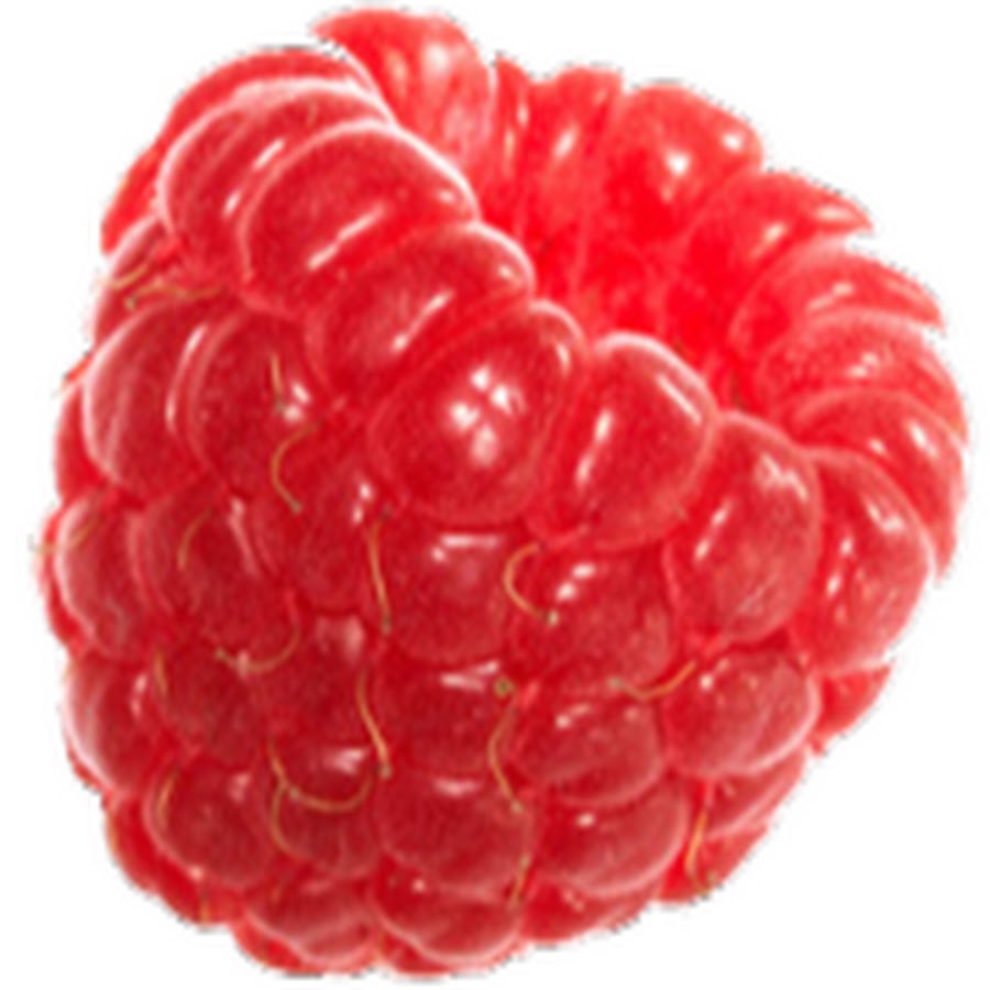 малина ремонтантная маравилла. малинка на белом фоне. белая малина. малина двудольная. малинка на белом фоне.