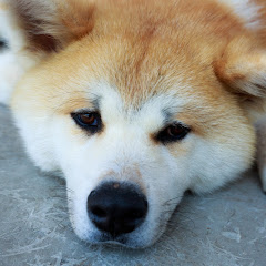ツグ