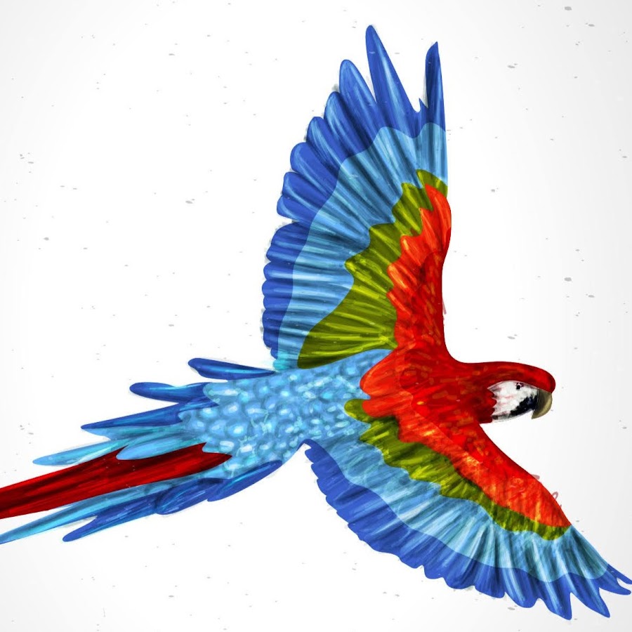 Попугай Macaw вектор