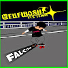 selflashfls