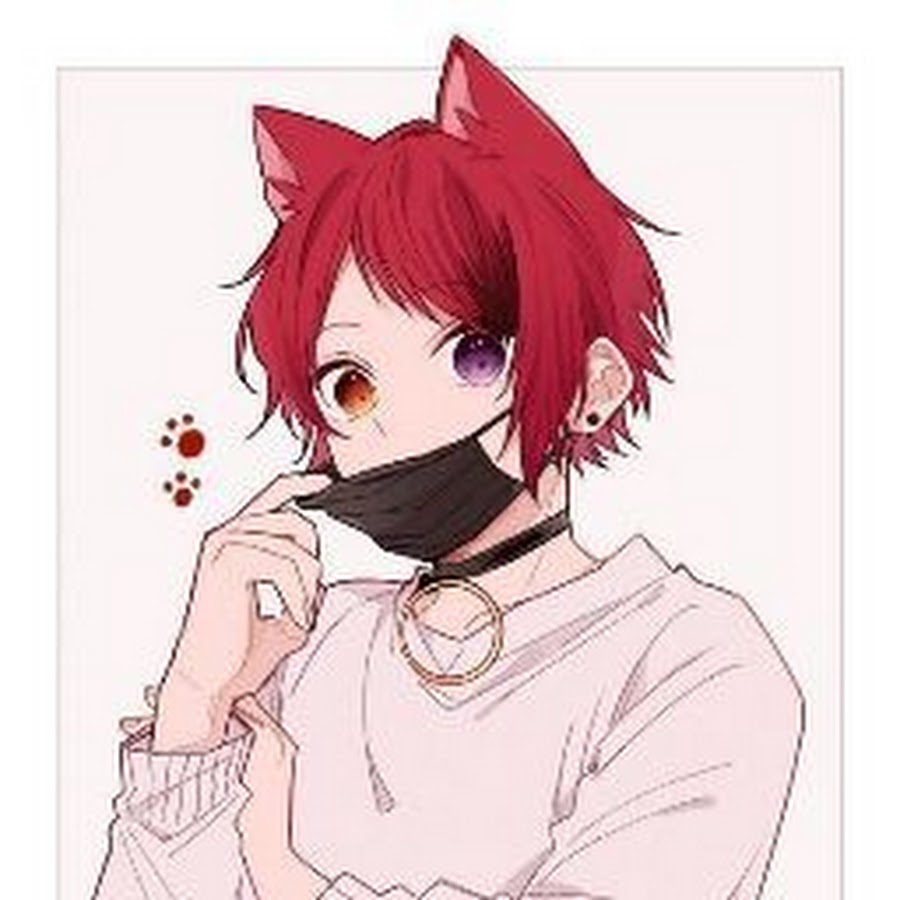 Микото микосиба скрины. Неко кун арт. Кун э. Неко кун омега. Кун э.