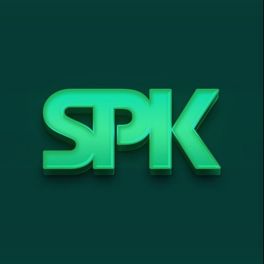 L spk разъем