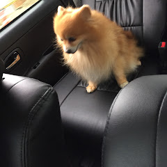 モカニカルワールド。。