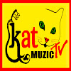 What could KAT MUZIC TV buy with $238.44 thousand?