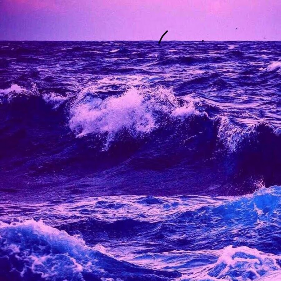 Фиолетовый как море 12. Фиолетовый как море 12. Фиолетовое море. Фиолетовый как море 12. Сиреневое море.