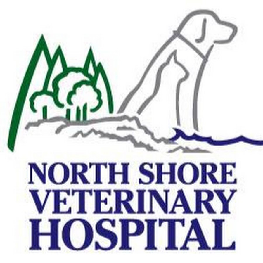 North Shore Veterinary Hospital YouTube