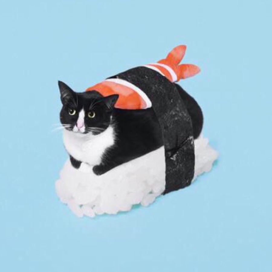 Sushi Cat YouTube