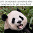PandasDontBreed OOF (also why u reading this?)