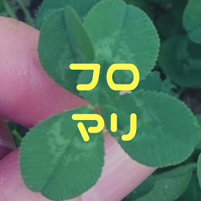 �ե�������ޥ꡼ YouTube