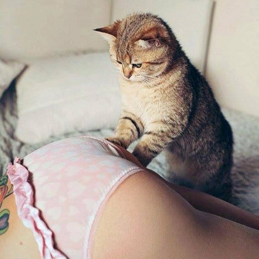 ����� � ������ ���� � pic 1