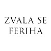 What could Djevojka imena Feriha - Zvala se Feriha buy with $199.25 thousand?