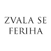 What could Djevojka imena Feriha - Zvala se Feriha buy with $199.2 thousand?