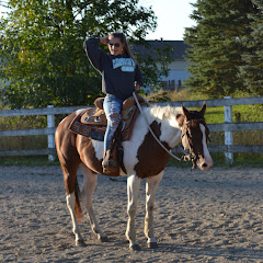 CnL Equestrian
