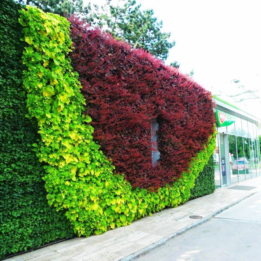 greenwall.pro YouTube