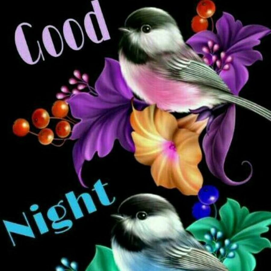 Спокойной ночи птичка. Доброй ночи птицы. Спокойной ночи птицы. Спокойной ночи цветы и птицы. Добрый вечер спокойной ночи птицы.