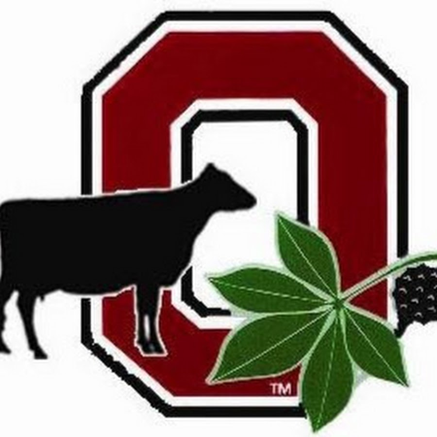 OSU Extension Dairy Working Group YouTube