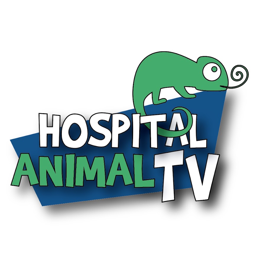 HOSPITAL ANIMAL TV YouTube